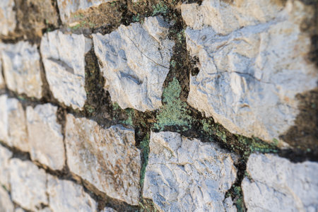 stone wall with mossの写真素材