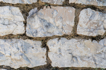 stone wall with mossの写真素材