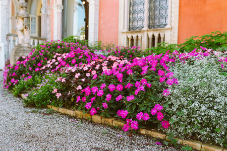 flowerbed with summer and autumn flowers near mansion with stone pathsの写真素材