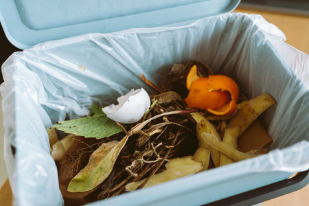 plastic trash bin with food waste kitchenの写真素材