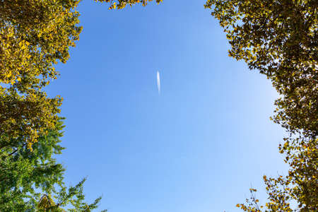 An airplane is flying high in the blue sky. The picture was taken from bottom to top through the...