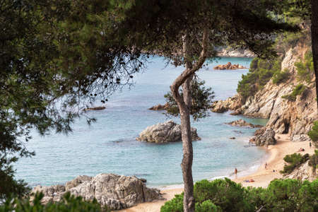 Pine trees on the rocky Mediterranean coast. Top view of a small cove with a sandy beach. Lloret de Mar, Costa Brava, Spainの写真素材