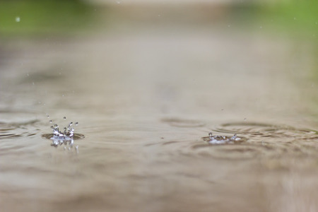 Rain drops close-upの写真素材