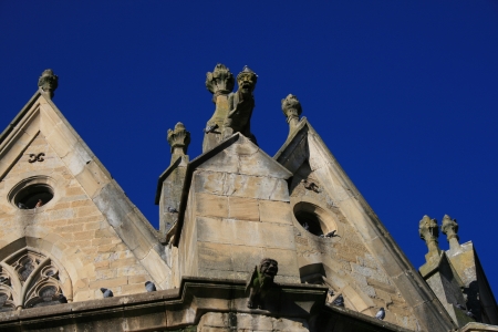 a pair of gargoylesの写真素材