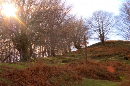 side of a mountain with the sun in frontの写真素材