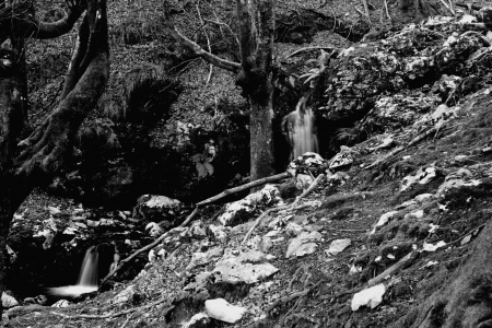 two small waterfalls in a forestの写真素材