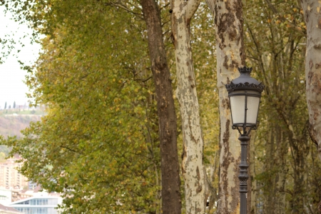lamppost in front of some treesの写真素材