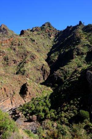 bed of a mountain streamの写真素材