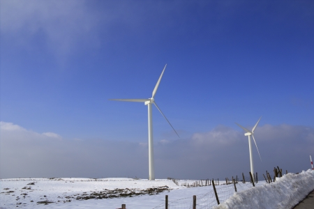Windmills in the snow