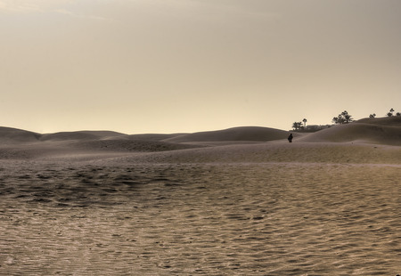 dune of maspalomas in canary islandの写真素材