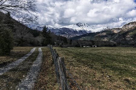 road in the deep forestの写真素材