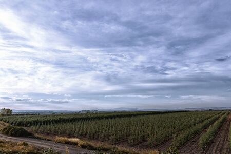 green fields in the north of spainの写真素材