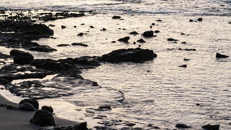 landscape  in the coast at sunsetの写真素材