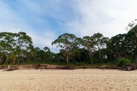 view of the beach at sunsetの写真素材
