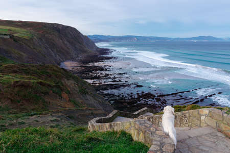 rocky beach in the basque countryの写真素材