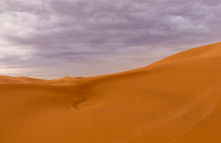 landscape at sunset in sahara desertの写真素材