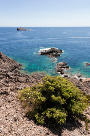 coast of cap of creus in the north of spain in mediterranean sea near cadaques in gironaの写真素材