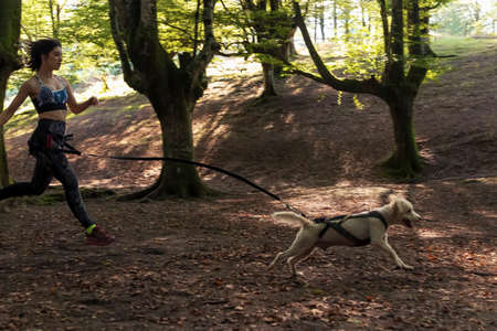 young woman running through the woods with a dog on a canicross training
