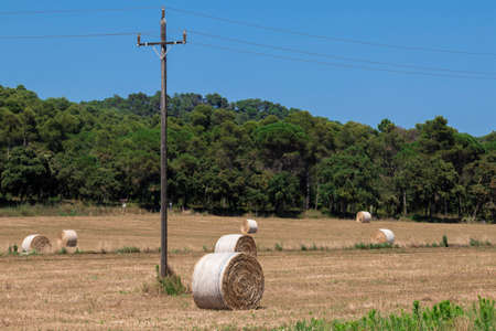 straw bales in the countryside of the costa brava of girona on a hot summer day