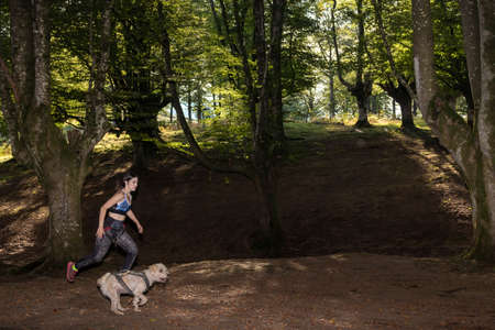 young woman running through the woods with a dog on a canicross trainingの写真素材
