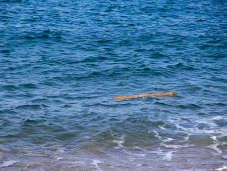 trunk in the blue sea on the costa brava