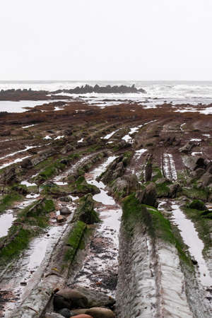 flysch in sopelana in the cantabrian sea at low tide a cloudy day