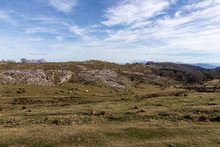 green valleys of vizcaya in the morning on a winter day