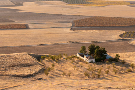 View of the Spanish mesas near Consuegra in the La Mancha region of Spain at sunsetの写真素材