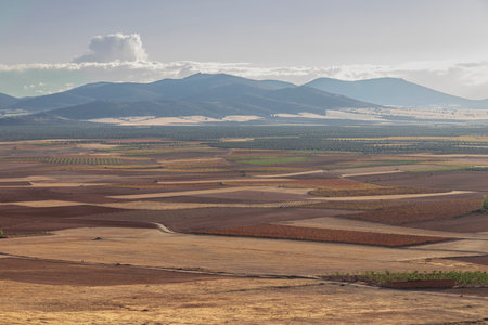 View of the Spanish mesas near Consuegra in the La Mancha region of Spain at sunsetの写真素材