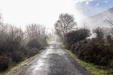 Escaping to the Wilderness: Remote Road through the Enchanting Fogの写真素材