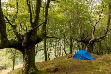 Sustainable Camping: Woman Enjoys Eco-Friendly Outdoor Recreation and Self-Careの写真素材