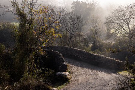Mystical Tranquility: Exploring the Foggy Forest and Ancient Bridge of Bizkaiaの写真素材