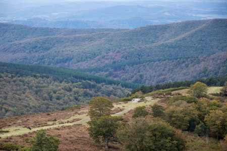 Hiking the Basque Highlands: A Surreal Adventure Amid Foggy Gorbea Mountainの写真素材