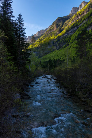 Exploring the Pristine Mountain River in the Spanish Pyreneesの写真素材
