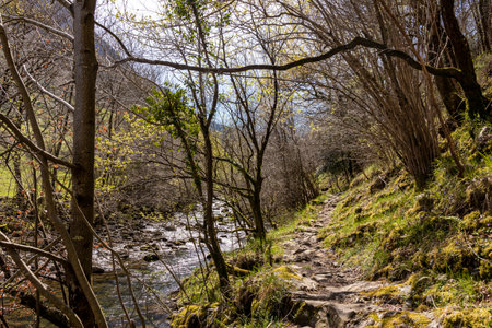 Captivating Beauty of a Mountain River in Cantabria, a Tranquil Escapeの写真素材