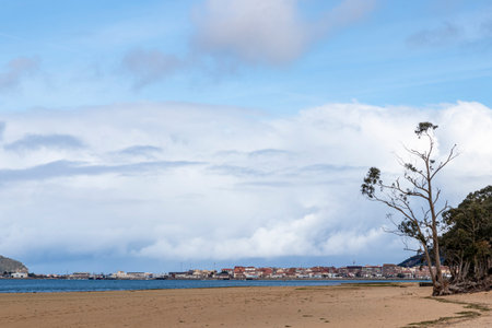 Serene Day by Asの写真素材