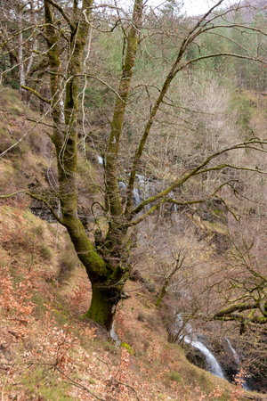 Discovering the Refreshing Bliss of the Waterfall Hidden in Basque Wildernessの写真素材