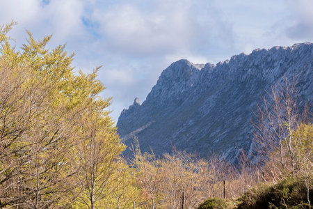 Enchanting Image of Trees Amidst the Serene Mountain Landscape in Basque Countryの写真素材