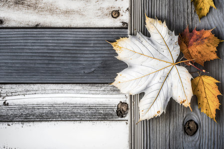 Rustic Autumn Elegance: Nature's Treasures Adorn a White Table in a Captivating Seasonal Sceneの素材