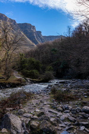 Discovering the Serenity of a Forest River in Northern Spain