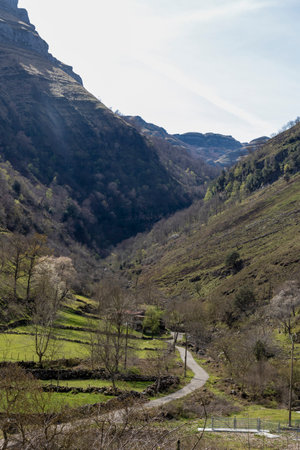 Embracing Nature's Splendor in Cantabria's Charming Mountains and Serene Countrysideの写真素材
