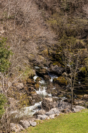 Serene Scene of a Pristine River Amidst the Untamed Woodlands of Cantabriaの写真素材