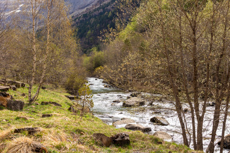 Capturing the Majesty of a Wild River Flowing Through Cantabria's Northern Forestの写真素材