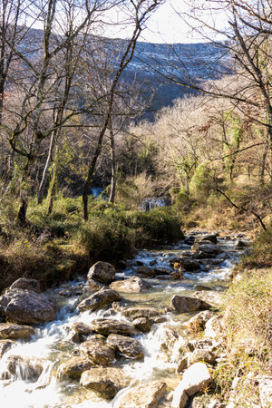Cantabrian Wilderness: Glimpse into the Pristine Beauty of a Northern Spanish Riverの写真素材