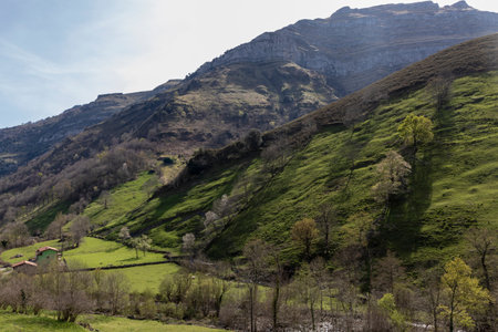 Nature s Symphony: Tranquil Beauty of Cantabria s Forests and Mountain Valleysの写真素材