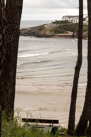 Serene Beach View: Between the Trees, Bench Overlooks the Ocean and Cliffの写真素材