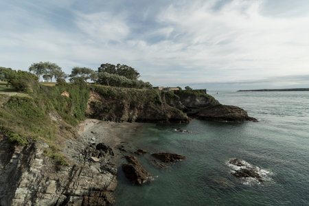 Landscape of a Tree-Covered Cliff Overlooking a Calm Seaの素材