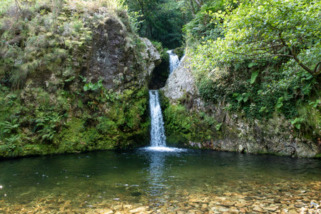 Hidden Gem in the Wilderness: A Waterfall Amidst the Verdant Greeneryの写真素材