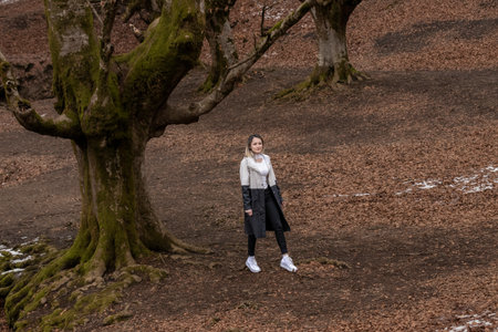woman in a coat stands in a forest, looking up at a large, twisted tree, surrounded by fallen leavesの写真素材