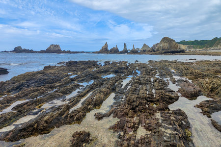 rocky beach with tide pools and jagged rock formations under a blue sky, filled with seaweed and other marine lifeの写真素材